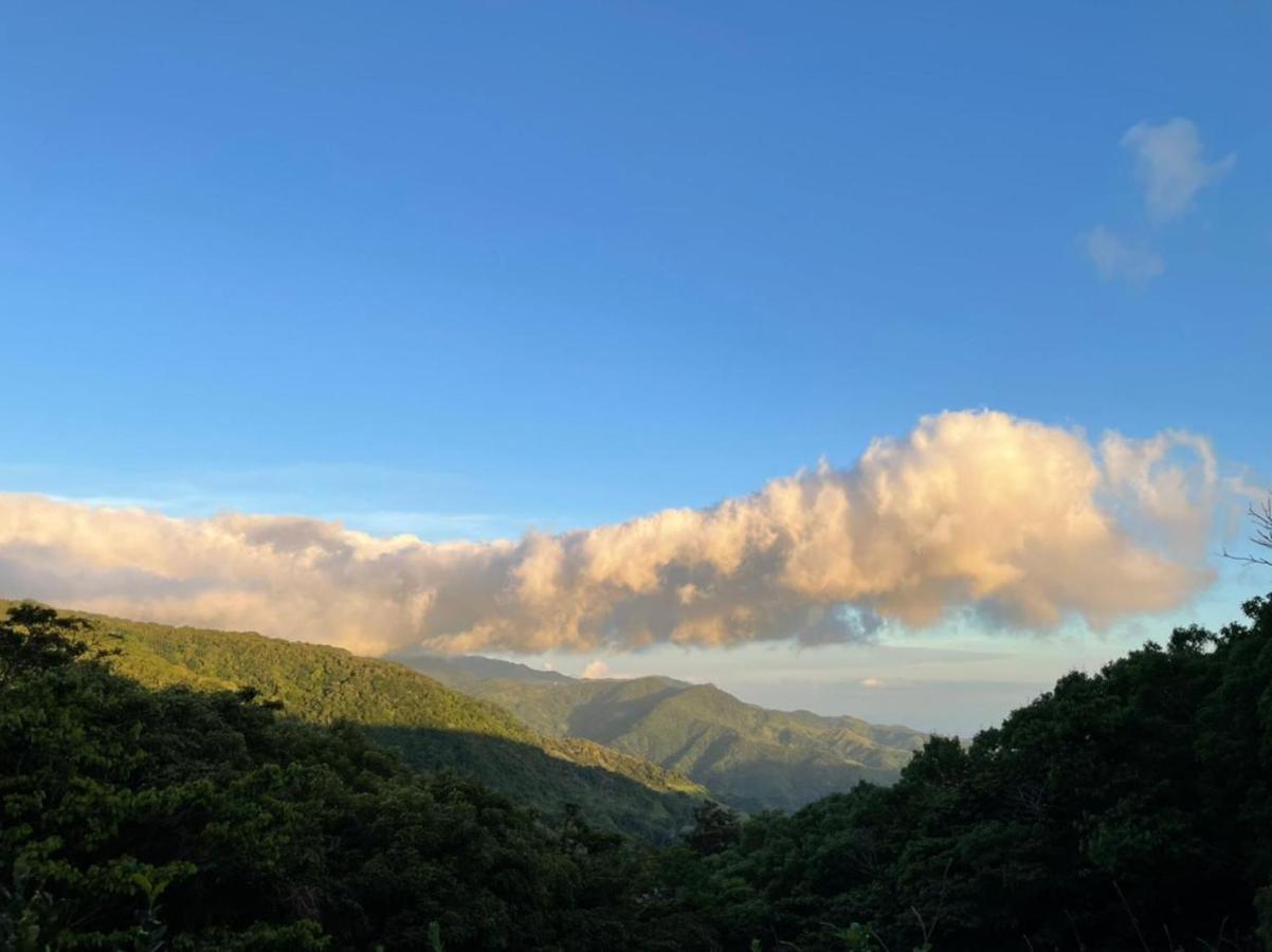 Апартаменти La Casa Bonita Monteverde Екстер'єр фото